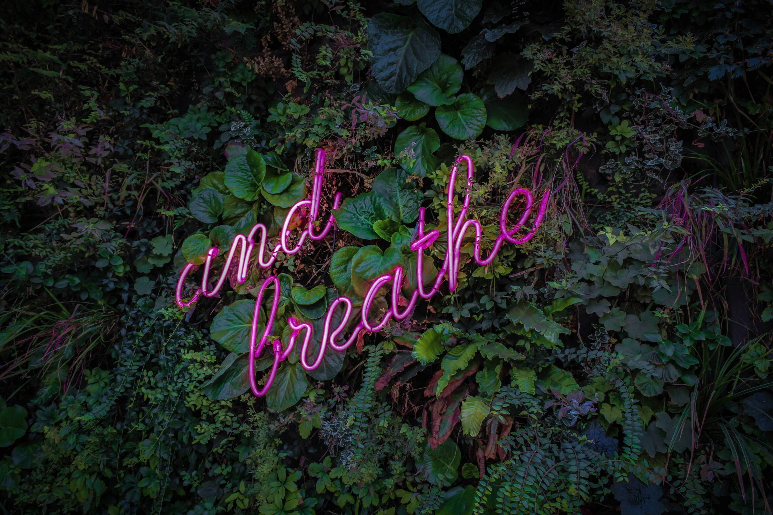and breathe sign on greenery