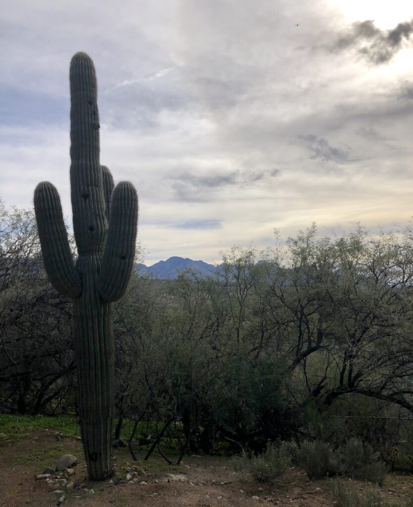 Miraval Arizona personal photo