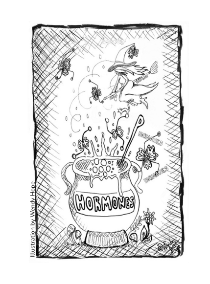 illustration by Wendy Hope