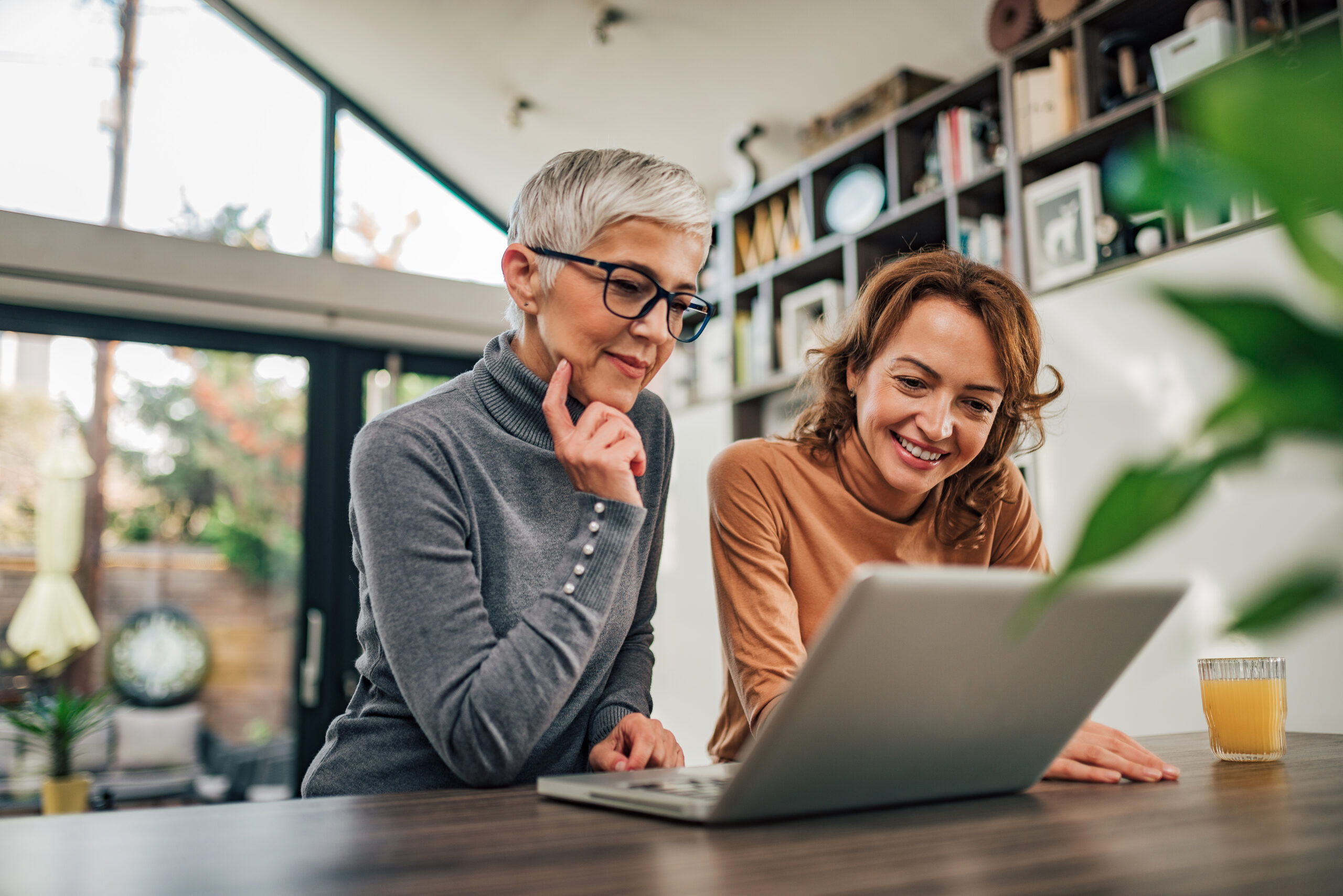 Two women looking at laptop indoors, portrait.