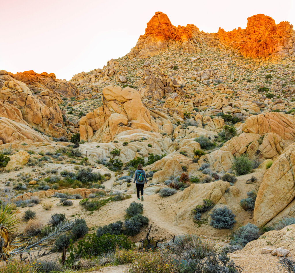Female Hiker on The Maze Loop Trail, Joshua tree, California, USA